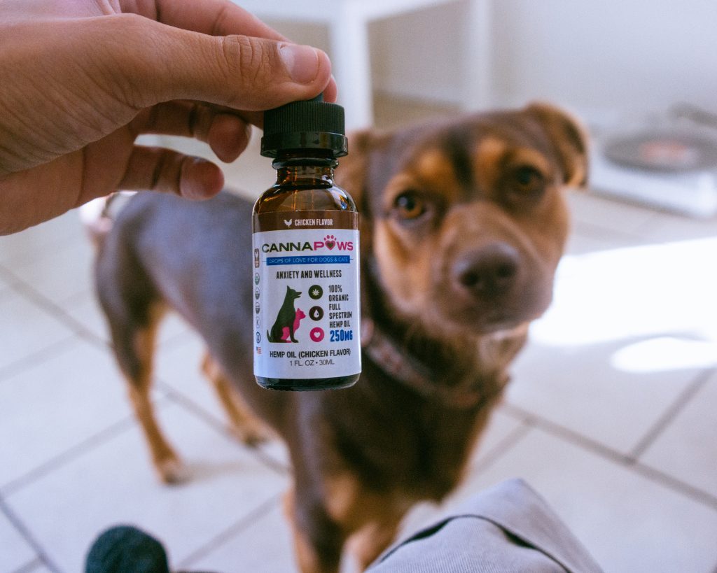 CBD for Pets Canna Paws